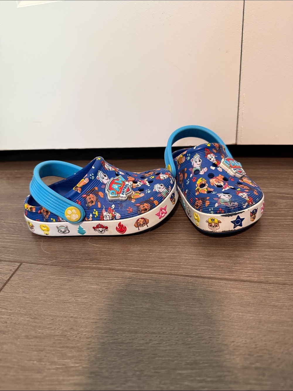 Toddler Paw Patrol Crocs